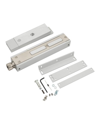 ALM-FM-M22-G-24-B. Электромагнитный замок взрывозащищенный. ALeko в Ельце