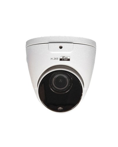 CO-RD23P. Видеокамера IP купольная. ComOnyx в Ельце