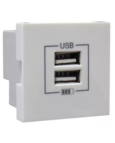 Розетка USB двойная, зарядная, белая (45439 SBR): Розетка USB двойная в Ельце