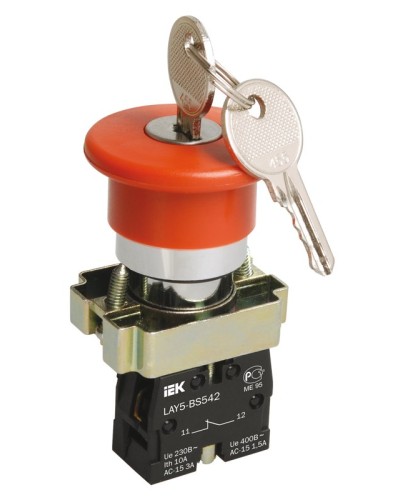 Кнопка LAY5-BS142 Грибок с ключом D22мм (BBG50-LAY5-K04). Кнопка. IEK в Ельце