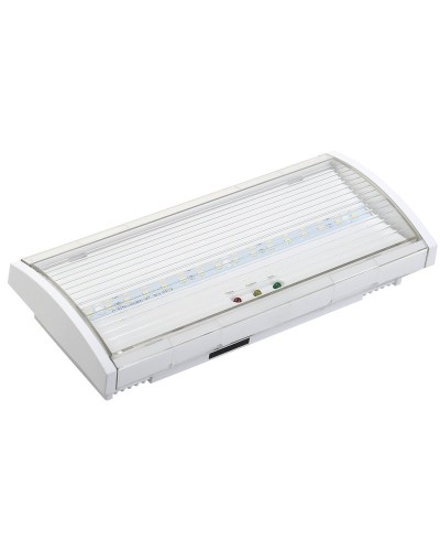 Светильник аварийный ДПА 5043-3 10-24/220В 3ч IP54 LIGHTING (LDPA1-5040-3-54-K01). Светильник аварийный постоянного действия. IEK в Ельце