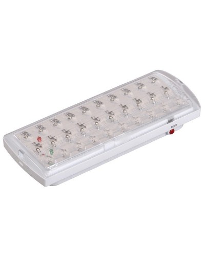 Светильник аварийный ДПА 2101 4ч IP20 LIGHTING (LDPA0-2101-30-K01). Светильник аварийный непостоянного действия. IEK в Ельце