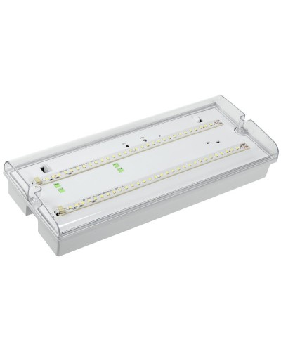 Светильник аварийный ДПА 5042-3 3ч IP65 LIGHTING (LDPA0-5042-3-65-K01). Светильник аварийный универсальный. IEK в Ельце