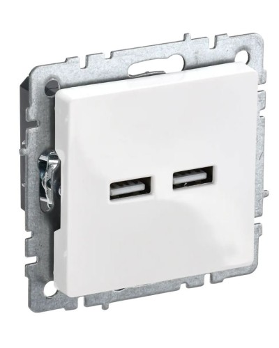 Розетка USB A+A 3,1А РЮ10-1-БрБ белый BRITE (BR-U21-D31-K01). Розетка USB. IEK в Ельце
