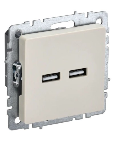 Розетка USB A+A 3,1А РЮ10-1-БрКр бежевый BRITE (BR-U21-D31-K10). Розетка USB. IEK в Ельце