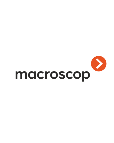 Расширение с LS до ST. Программное обеспечение (опция). MACROSCOP в Ельце
