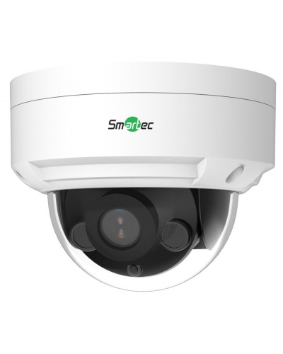 STC-IPM5506A/1 Estima. Видеокамера IP купольная. Smartec в Ельце