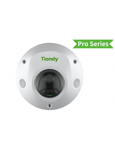 TC-C35PS I3/E/Y/M/H/2.8/V4.2. Видеокамера IP купольная. Tiandy в Ельце