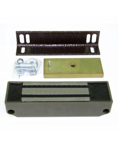 VIZIT-ML305-40-50-4. Замок электромагнитный. VIZIT в Ельце