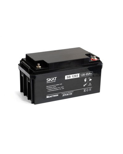 SKAT SB 1265 (2541). Аккумулятор герметичный свинцово-кислотный. Бастион в Ельце